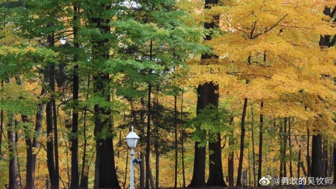 昨日置换推广个性化优化您的创作流程:一站式解决账号流量与内容优化的实用平台,查理苏